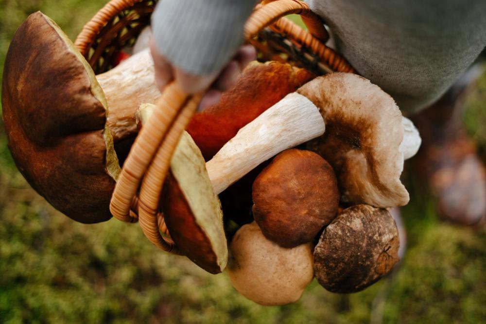 Růžová Chalupa Pod Klínovcem Loučná pod Klínovcem Exteriér fotografie